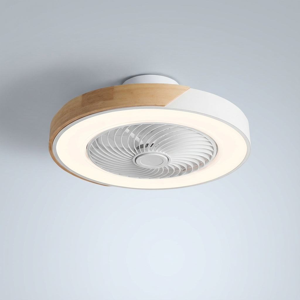 LED Ceiling Fan with Light Fixture