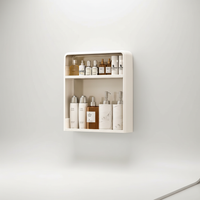 Minimalist Plastic Bathroom Shelf