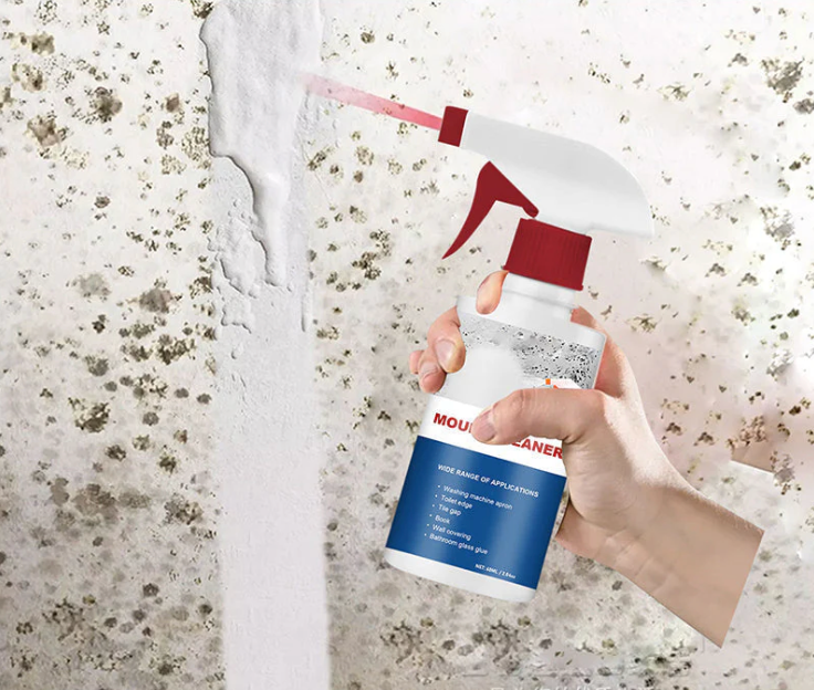 Mold and Damp Stain Remover