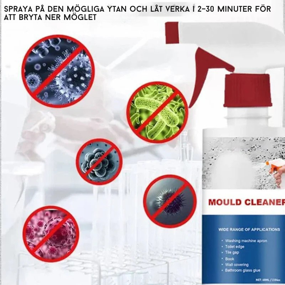 Mold and Damp Stain Remover