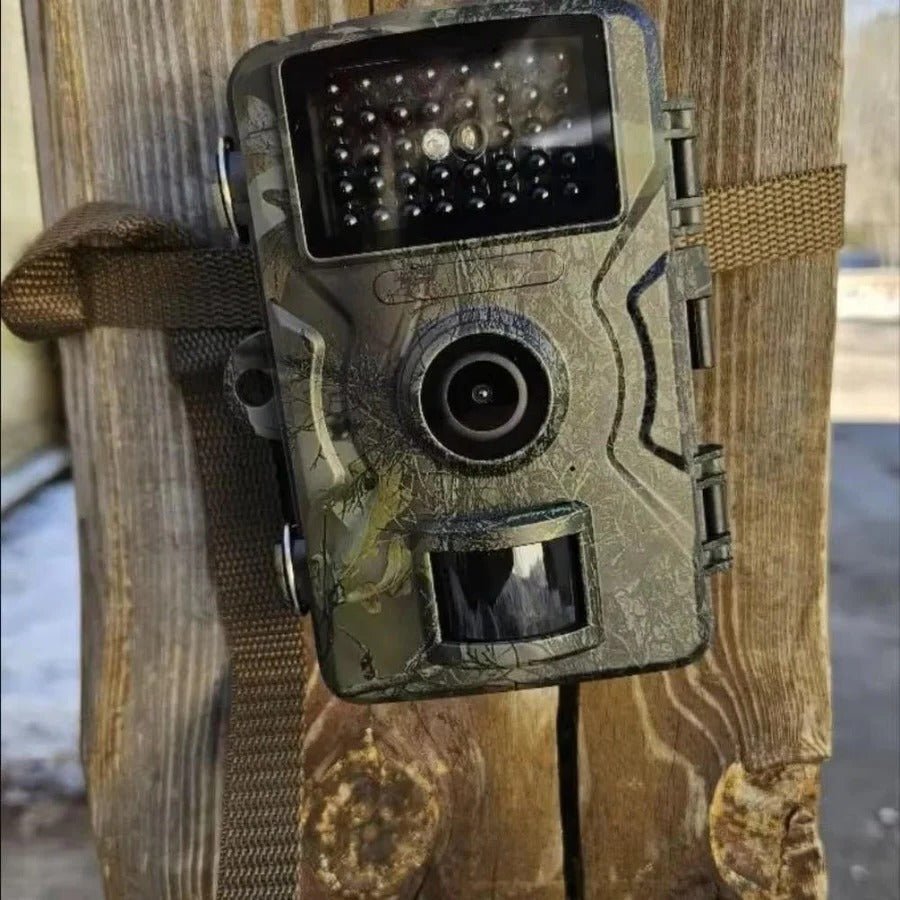 Night Vision Outdoor Wildlife & Security Camera