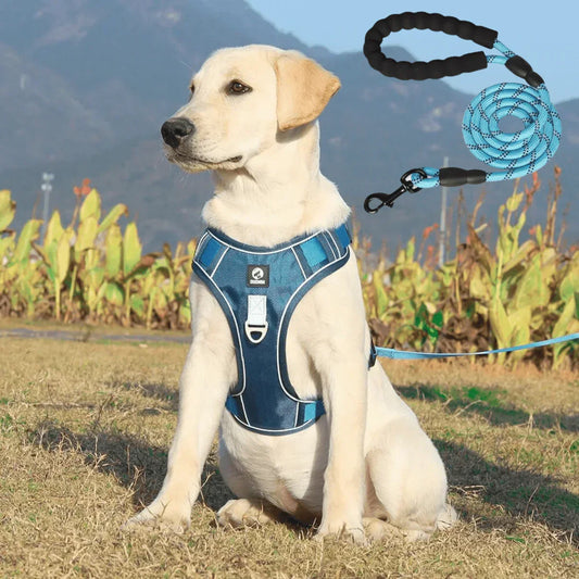 No-Pull Dog Harness with Comfort Padding