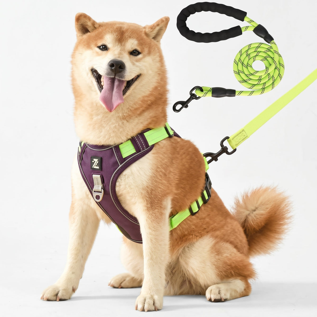 No-Pull Dog Harness with Comfort Padding
