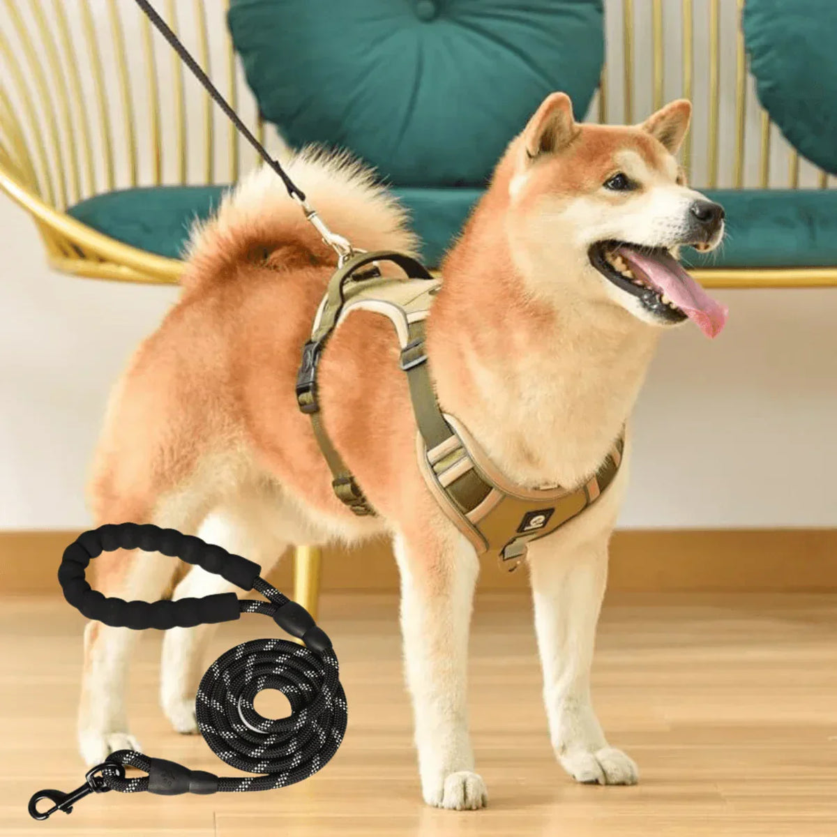 No-Pull Dog Harness with Comfort Padding