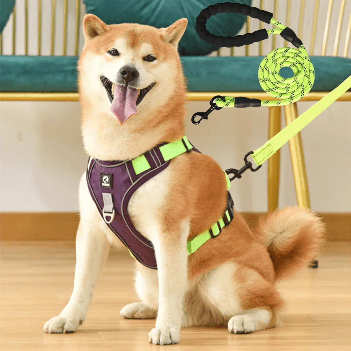 No-Pull Dog Harness with Comfort Padding