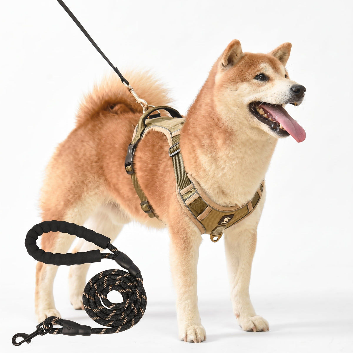 No-Pull Dog Harness with Comfort Padding