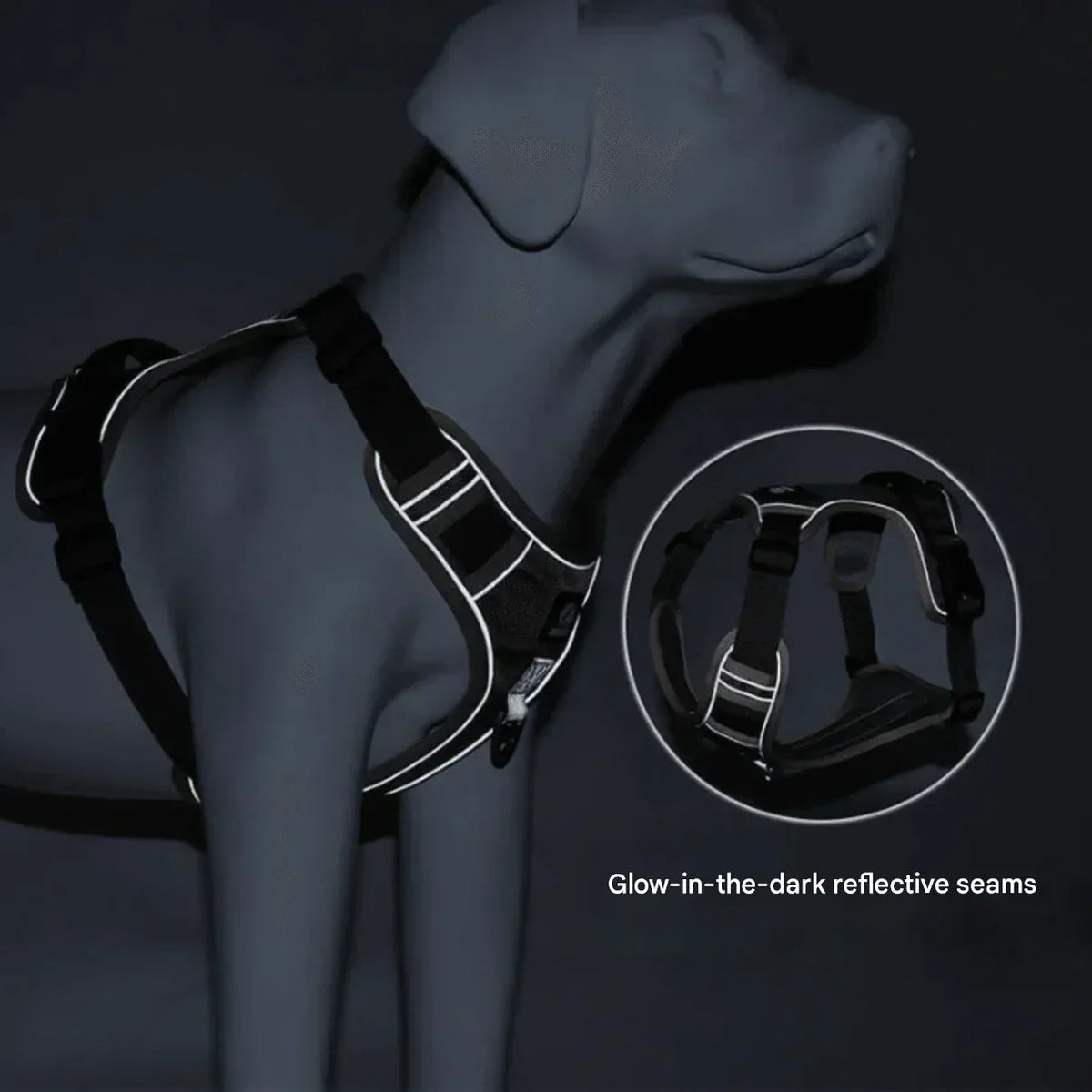 No-Pull Dog Harness with Comfort Padding