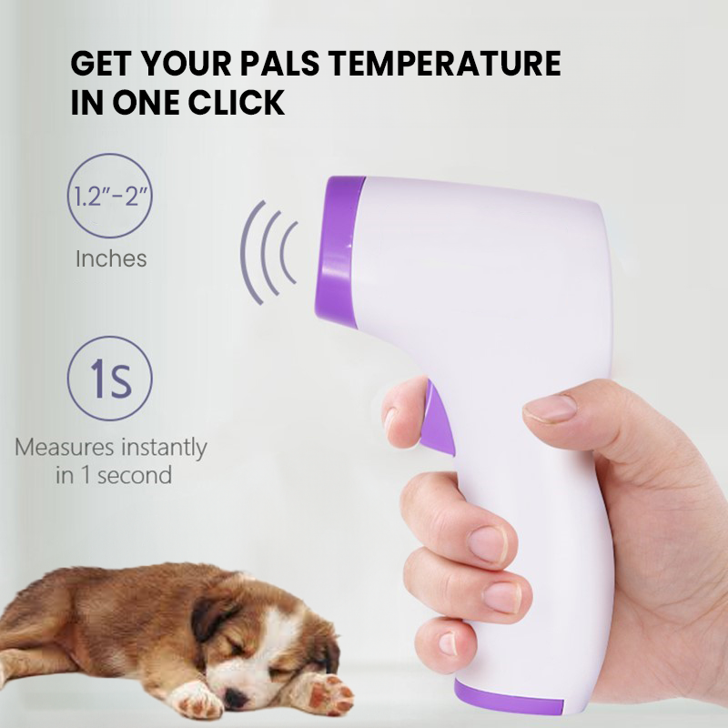 Non-Contact Dog Thermometer with One-Click Reading