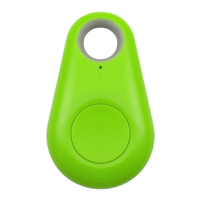 Pet GPS Tracker Tag
