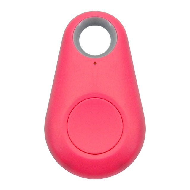 Pet GPS Tracker Tag