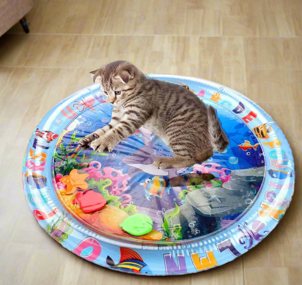 Pet Play Mat to Reduce Boredom and Scratching