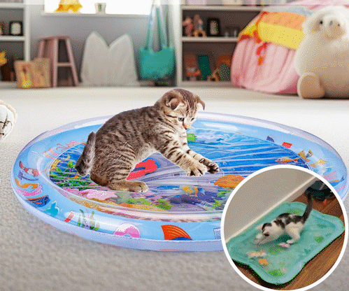 Pet Play Mat to Reduce Boredom and Scratching