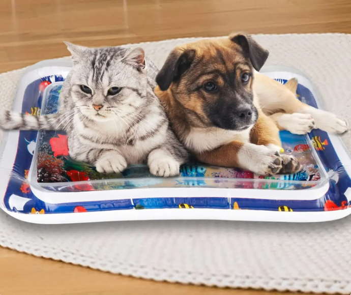 Pet Play Mat to Reduce Boredom and Scratching