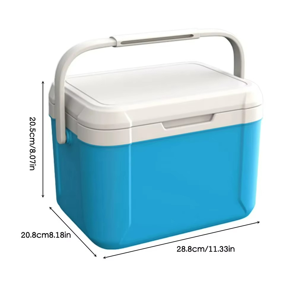 Portable Mini Cooler Box for Car and Camping – Compact Design