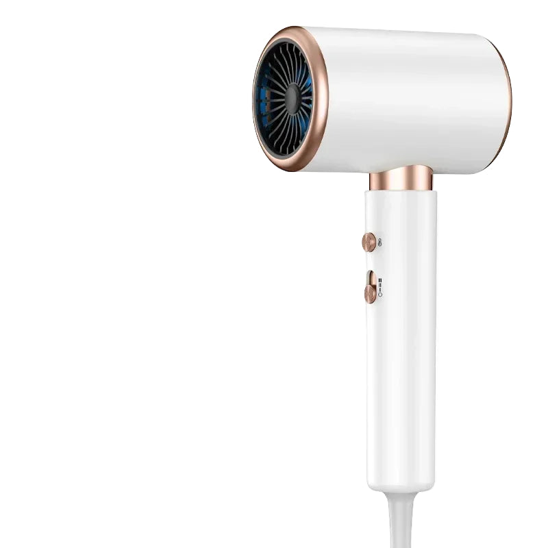 Professional 2400W Hair Dryer with Ionic Technology
