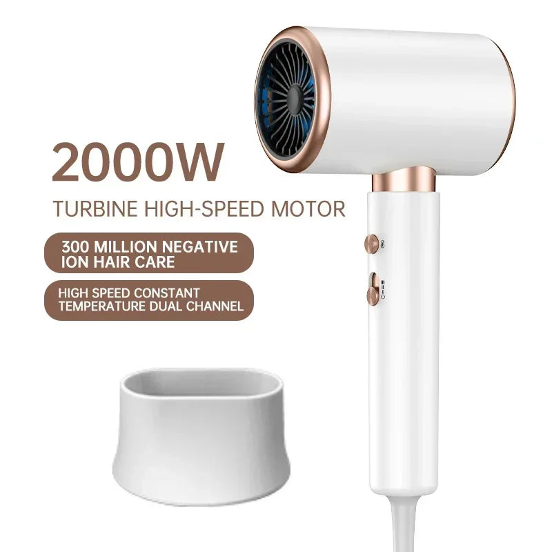 Professional 2400W Hair Dryer with Ionic Technology
