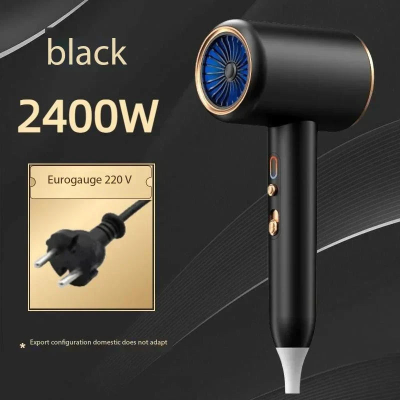 Professional 2400W Hair Dryer with Ionic Technology