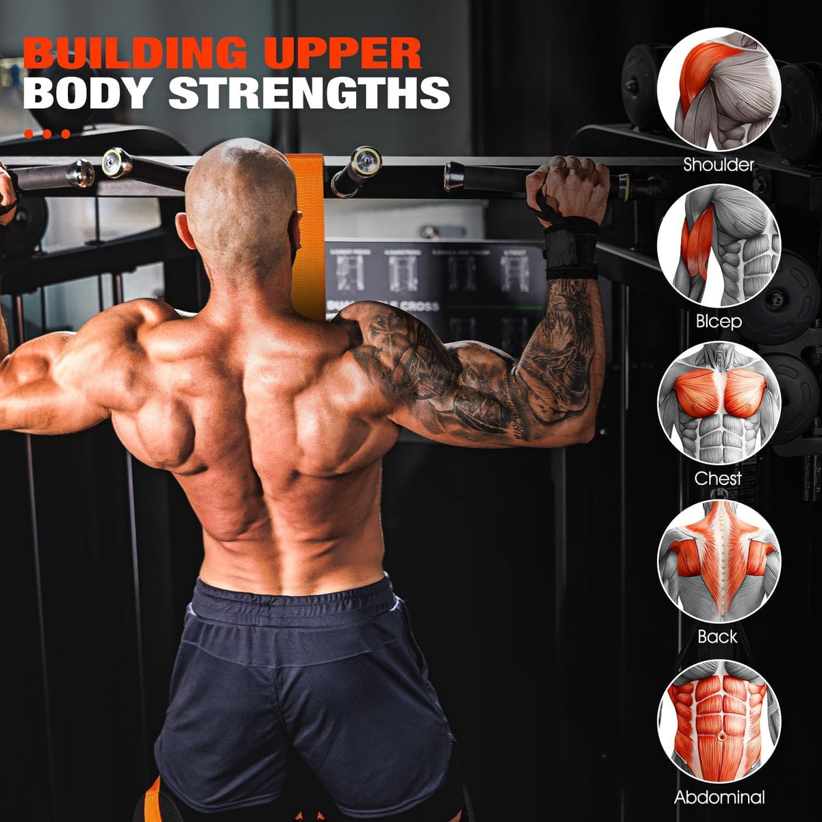 Pull-Up Assist Bands with Dual Foot System