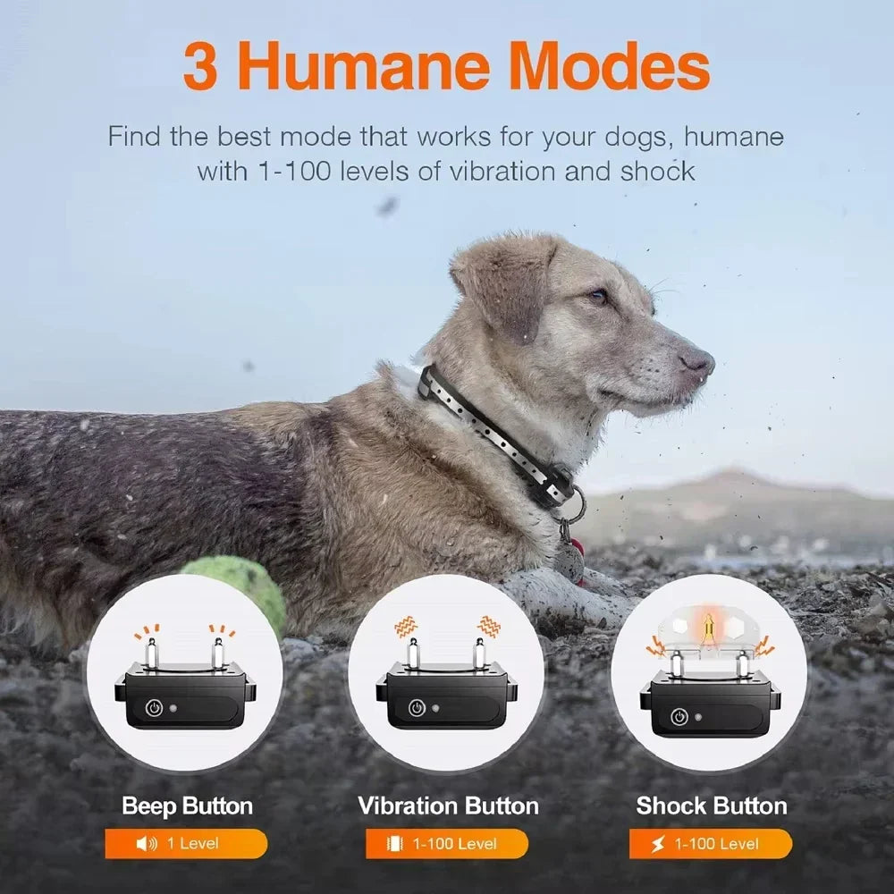 Rechargeable Electric Dog Training Collar with Remote Control and 1000 m Range