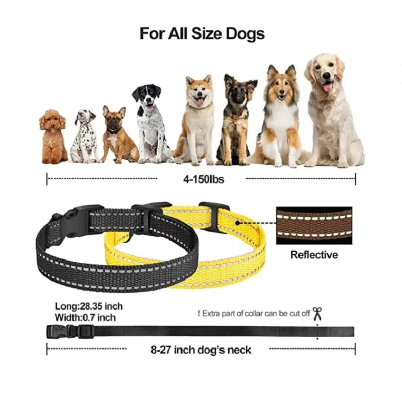 Rechargeable Electric Dog Training Collar with Remote Control and 1000 m Range
