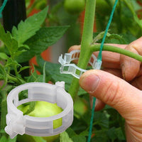 Reusable Plastic Plant Support Clips with 1-Inch Inner Diameter