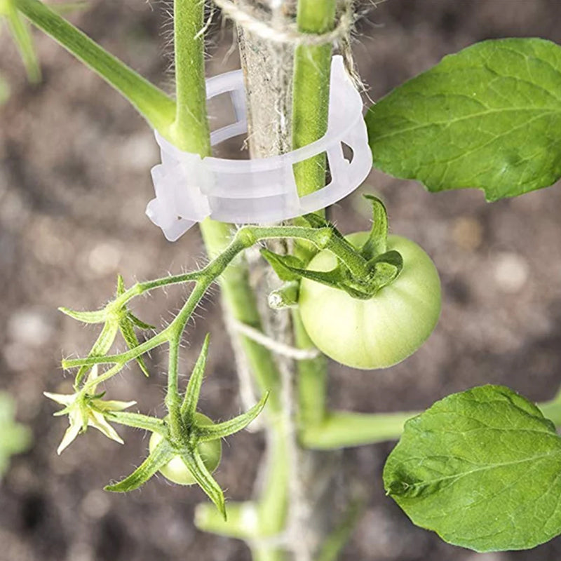 Reusable Plastic Plant Support Clips with 1-Inch Inner Diameter