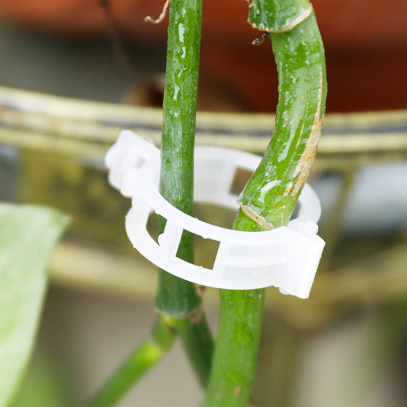 Reusable Plastic Plant Support Clips with 1-Inch Inner Diameter