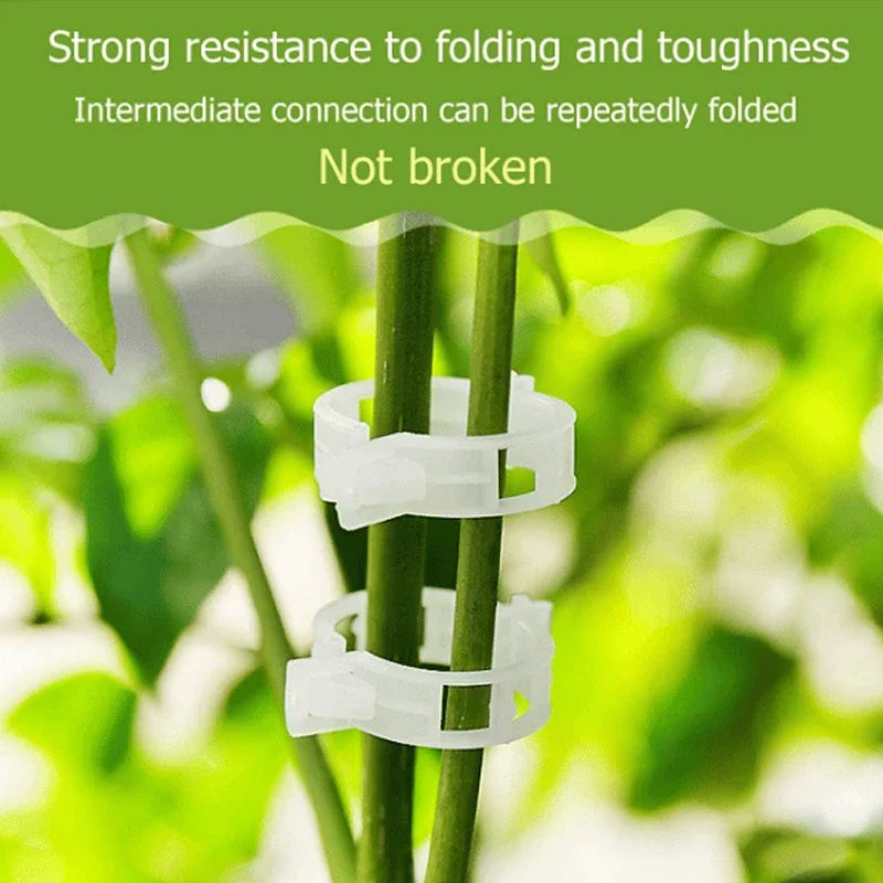 Reusable Plastic Plant Support Clips with 1-Inch Inner Diameter
