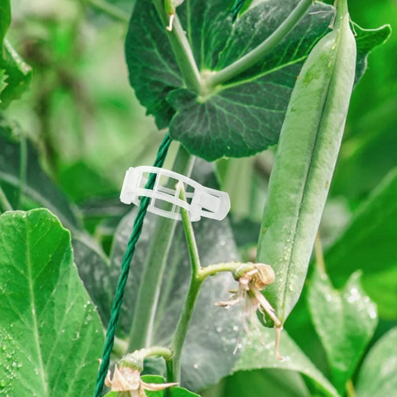 Reusable Plastic Plant Support Clips with 1-Inch Inner Diameter