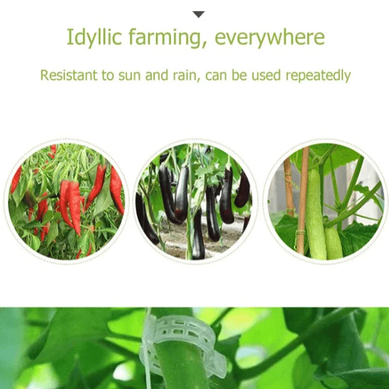 Reusable Plastic Plant Support Clips with 1-Inch Inner Diameter