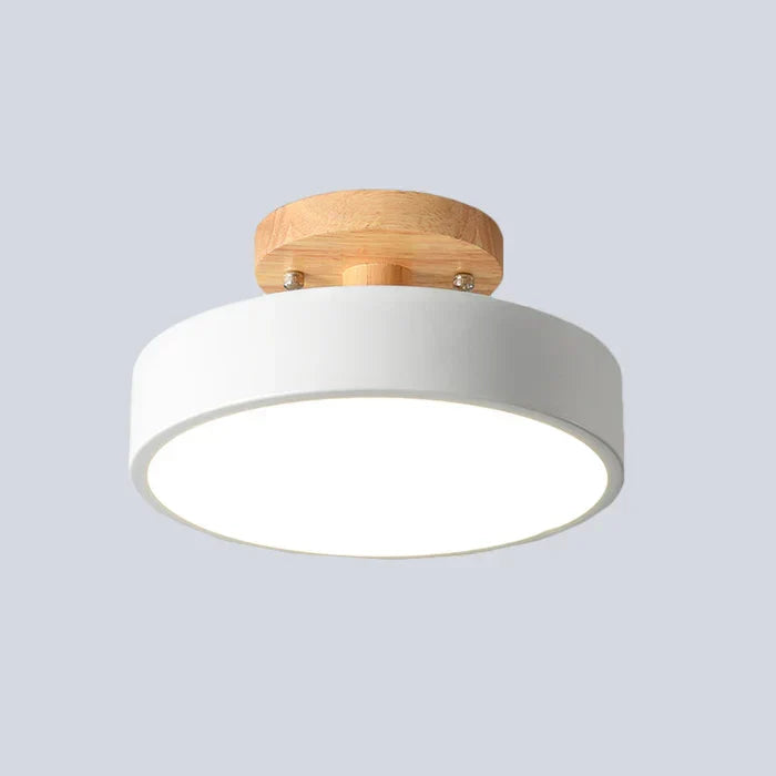 Scandinavian LED Ceiling Light
