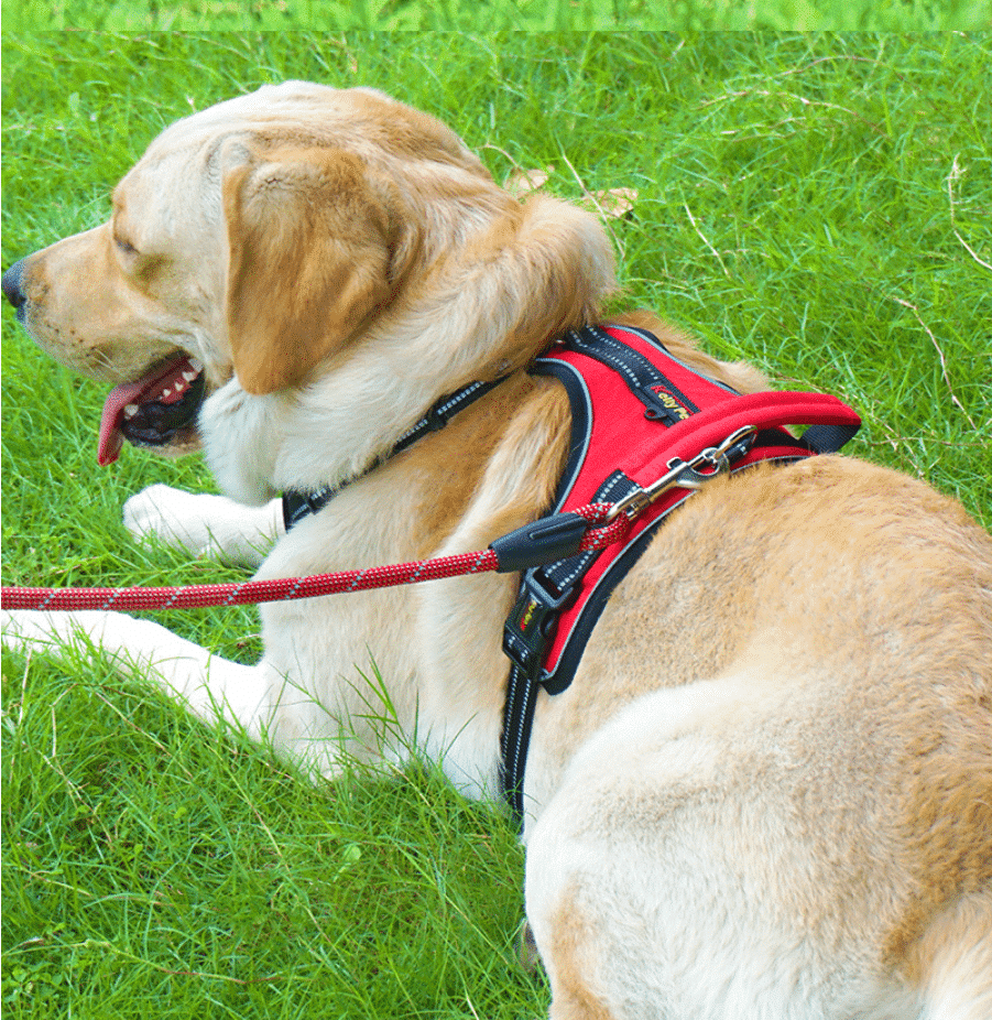 Soft Reflective Dog Harness - Durable & Waterproof - Red, Black or Blue