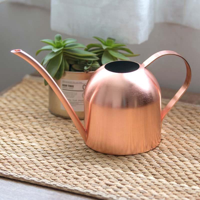 Stainless Steel Watering Can with Flexible Spout - Modern Design, Rustproof