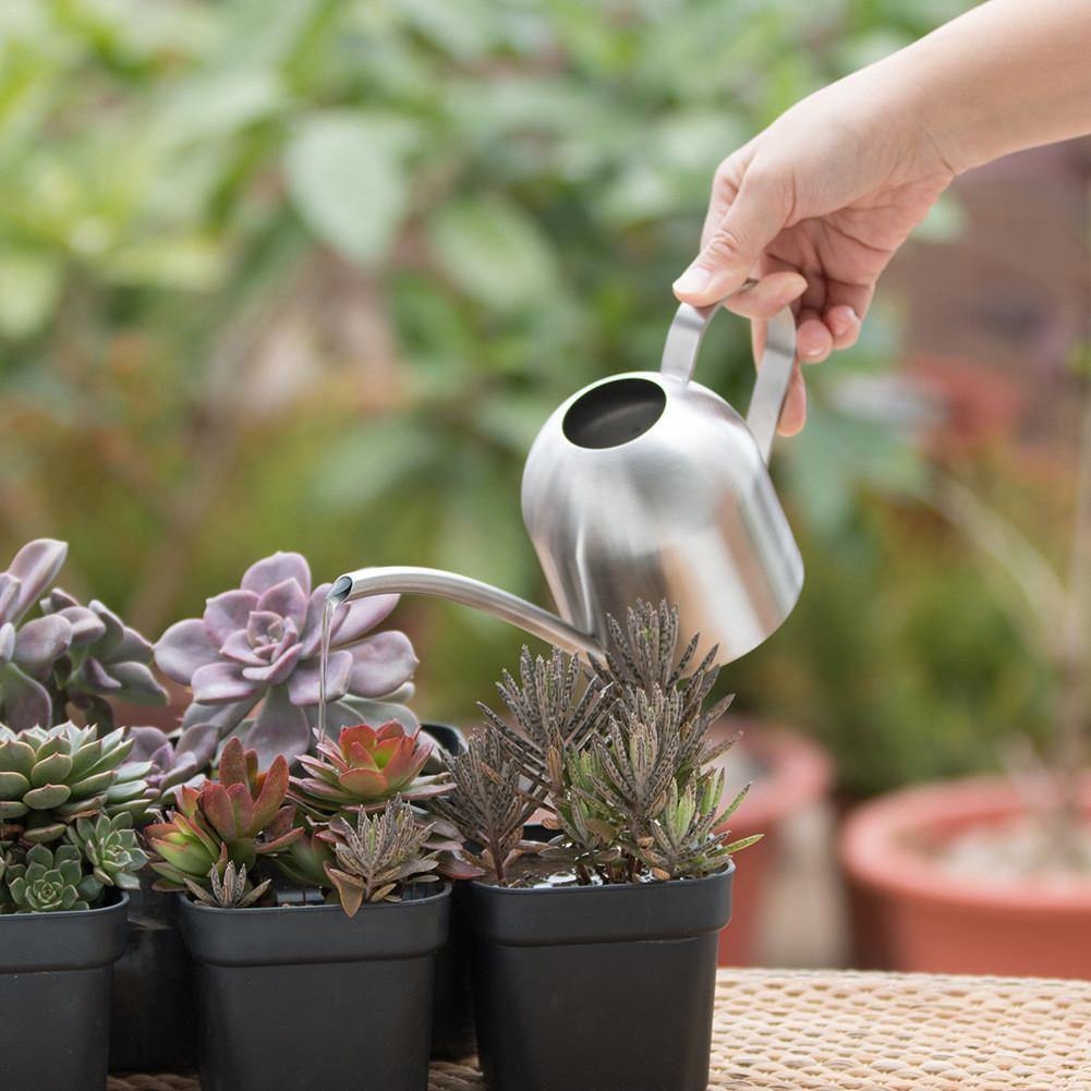 Stainless Steel Watering Can with Flexible Spout - Modern Design, Rustproof