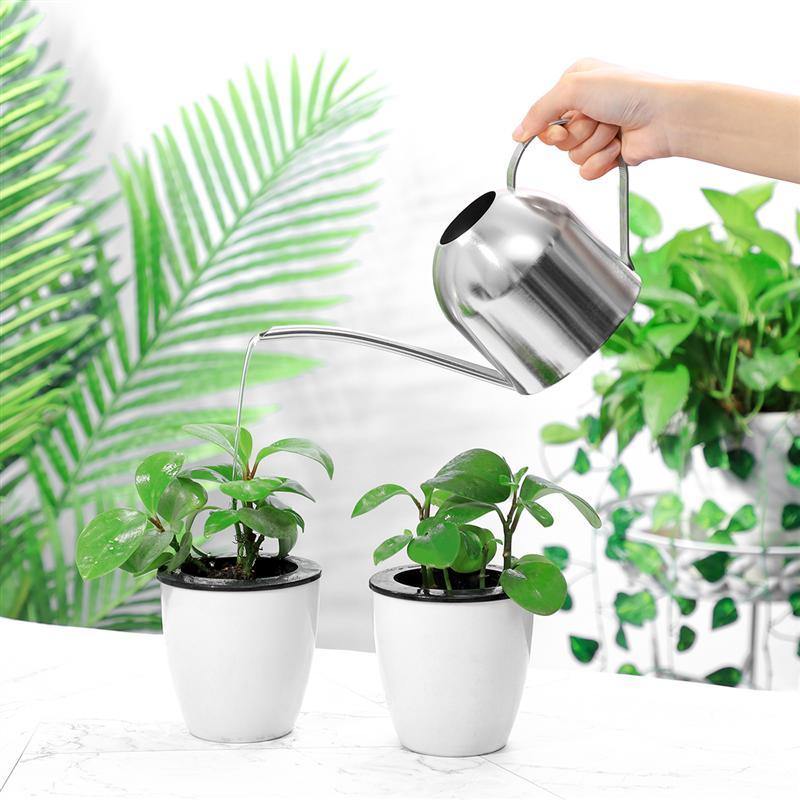 Stainless Steel Watering Can with Flexible Spout - Modern Design, Rustproof