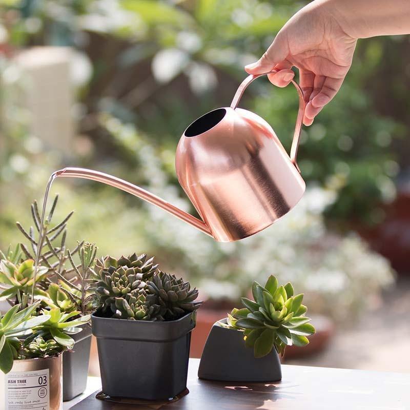 Stainless Steel Watering Can with Flexible Spout - Modern Design, Rustproof