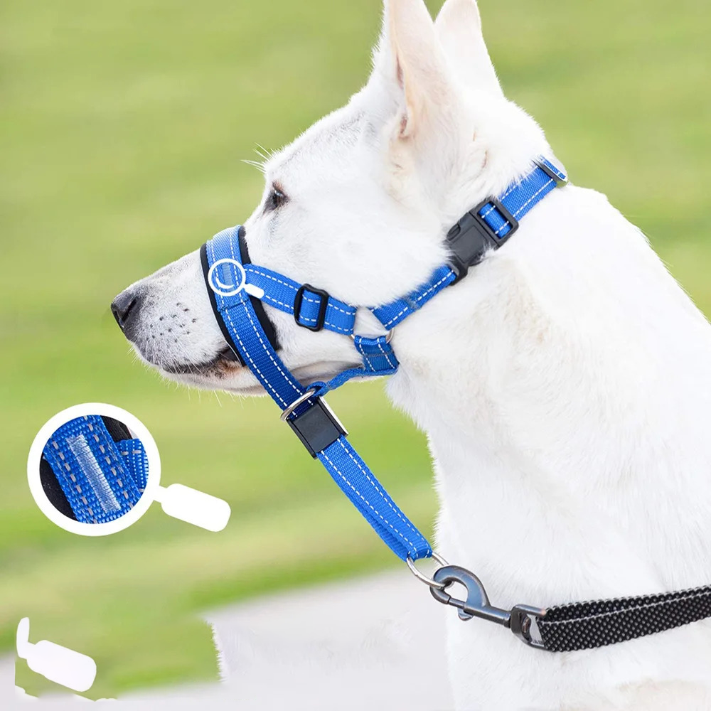 Stop Barking and Biting Without Stress