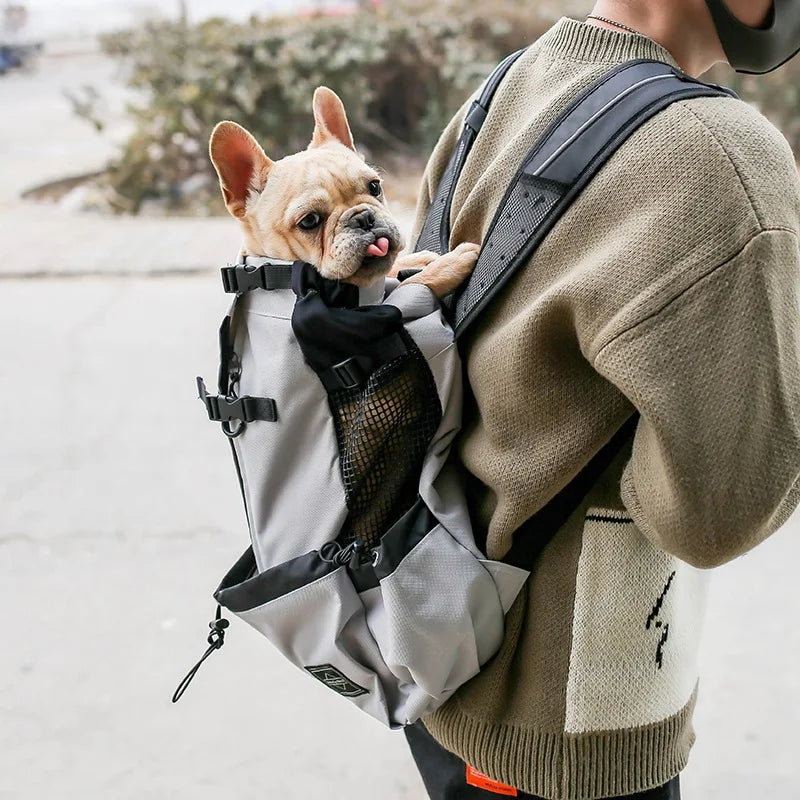 Travel Carrier Bag for Small and Medium Dogs