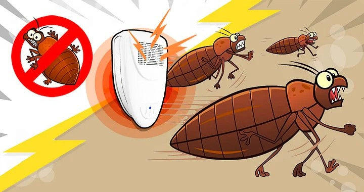Ultrasonic Bed Bug Repellent
