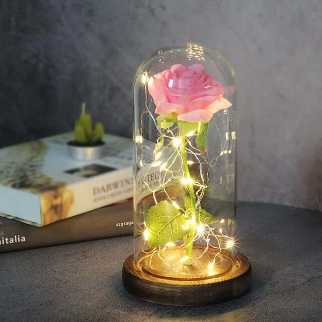 Valentine's Rose | LED Eternal Rose