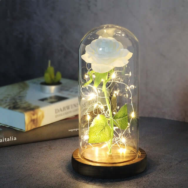 Valentine's Rose | LED Eternal Rose