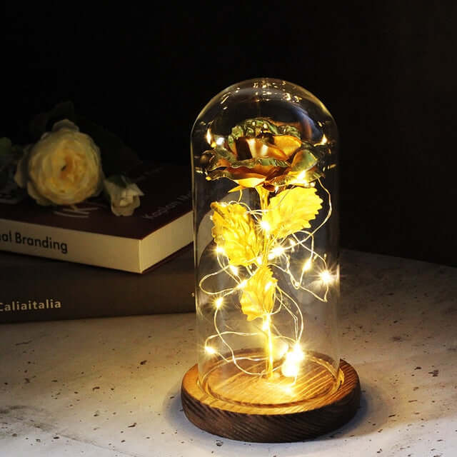 Valentine's Rose | LED Eternal Rose