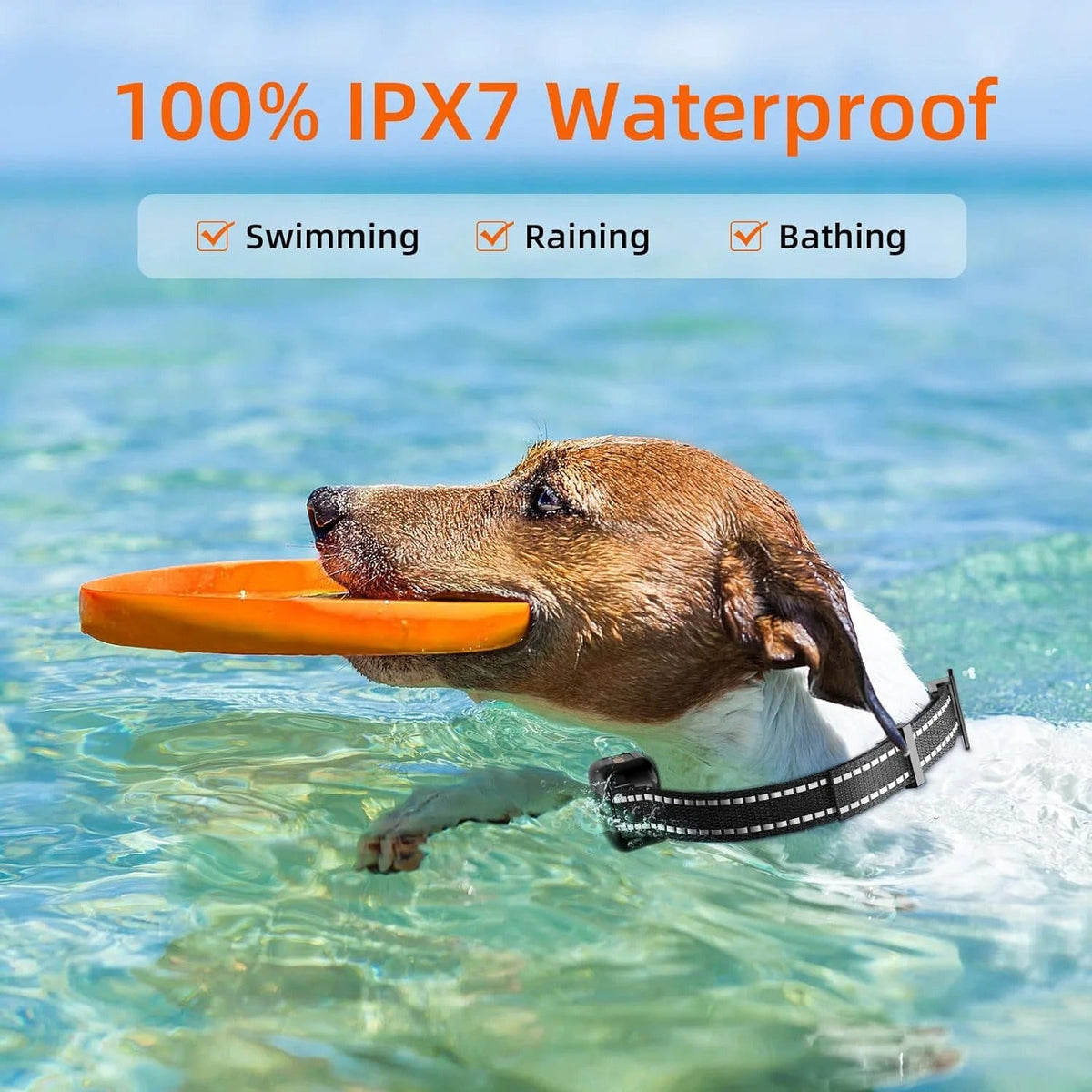 Waterproof & Rechargeable 1000m Dog Training E-Collar