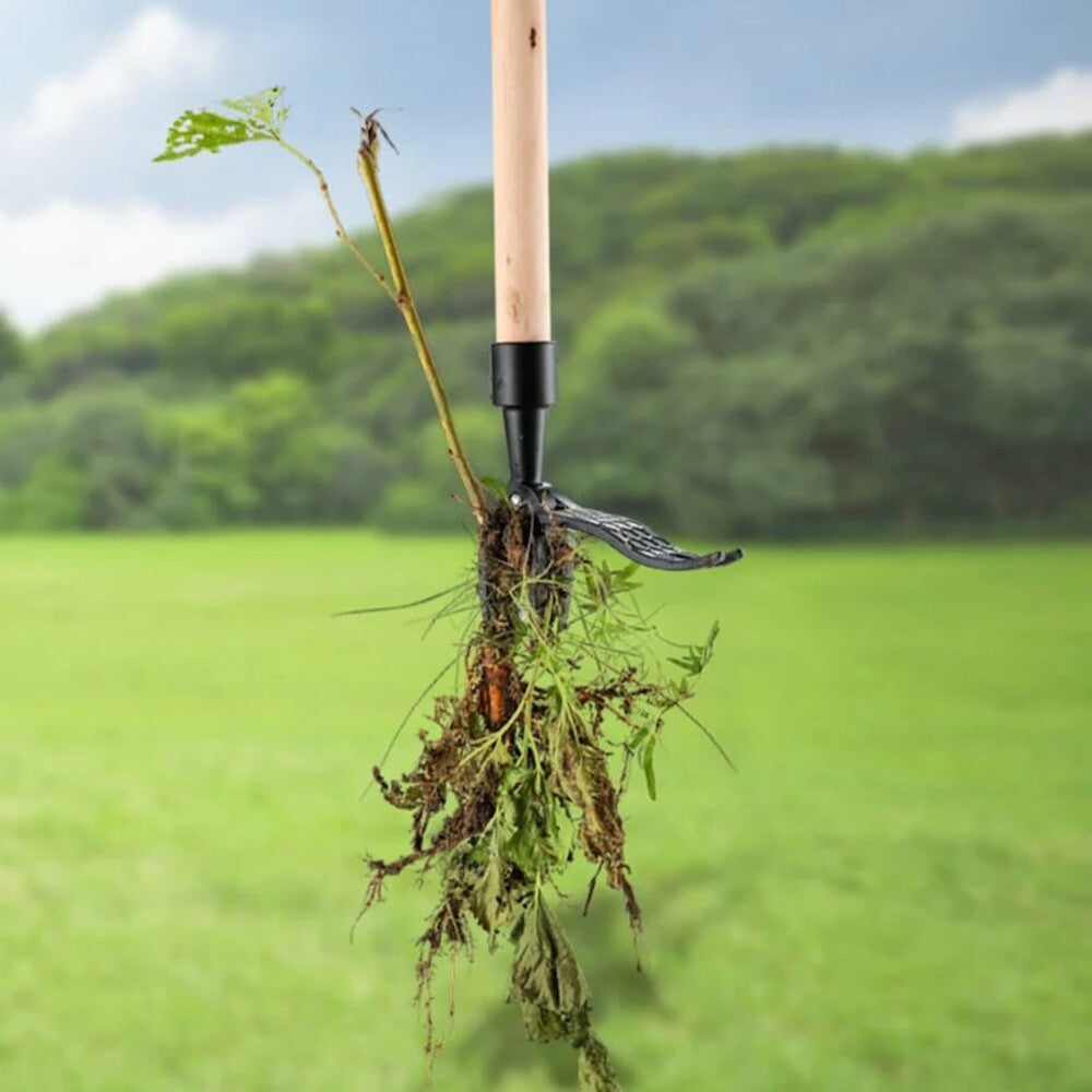 Weed Remover | Remove Weeds in an Instant